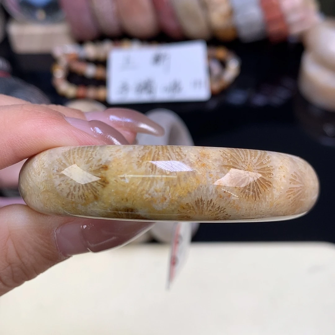 【闪购商品】颈饰未镶嵌硅化珊瑚（珊瑚玉）上新福利手镯51.8（18号）