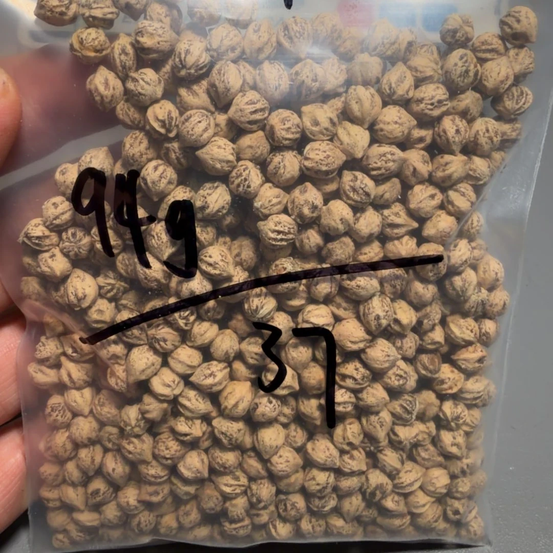 吊坠柏香籽/百香籽?****子