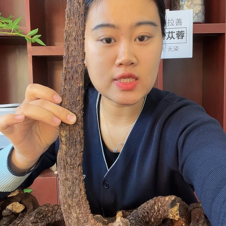 （**）阿拉善沙漠肉苁蓉