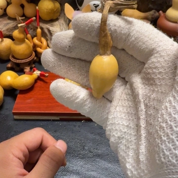 W***s6…………………………………………