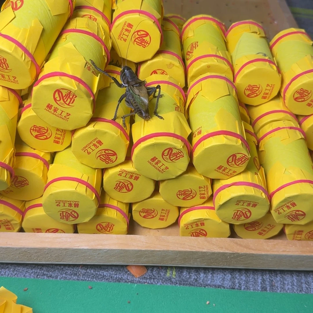 渔***翁蟋蟀郝建伟精品三皮炮筒