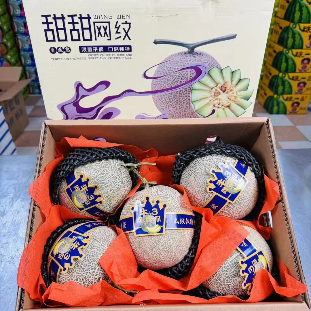 【两颗】牛三网纹蜜瓜 冰淇淋口感 单颗2.5斤左右 只发天津市除县区