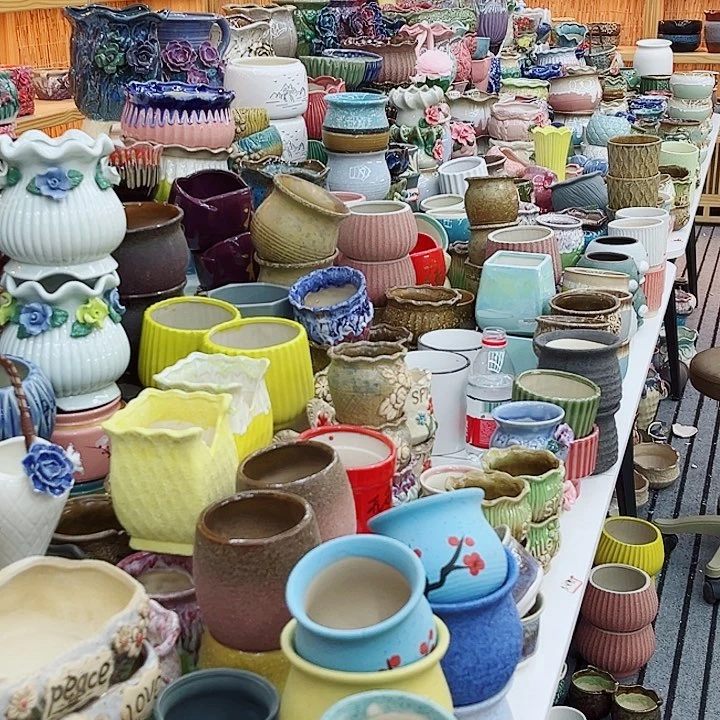 多肉植物陶瓷花盆