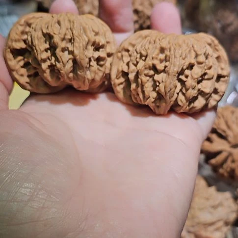 文玩核桃吊坠48狮狮虎