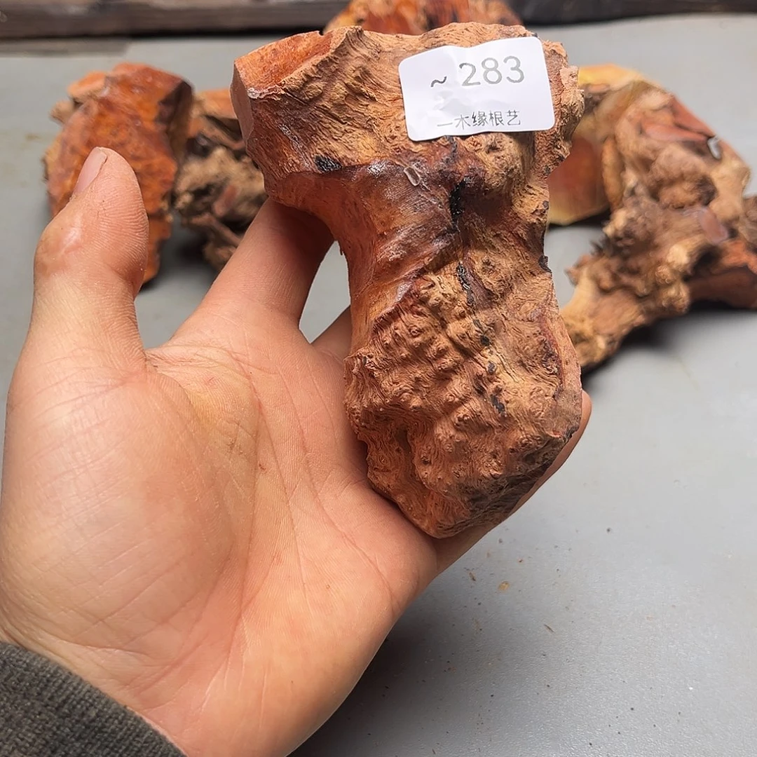 三***真无花朵0000000000283