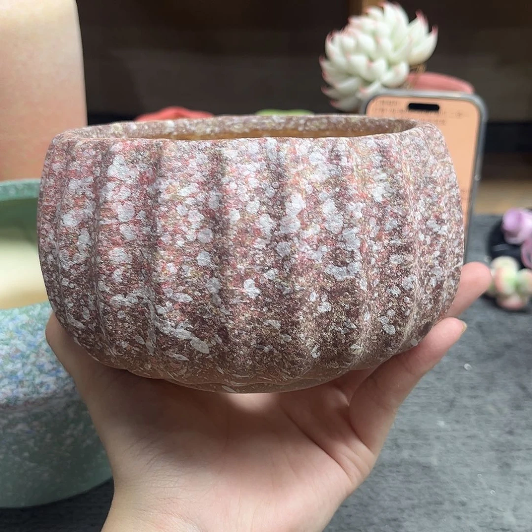 12*8.5 小南瓜  满48 额外送一个15米盆盆随单发