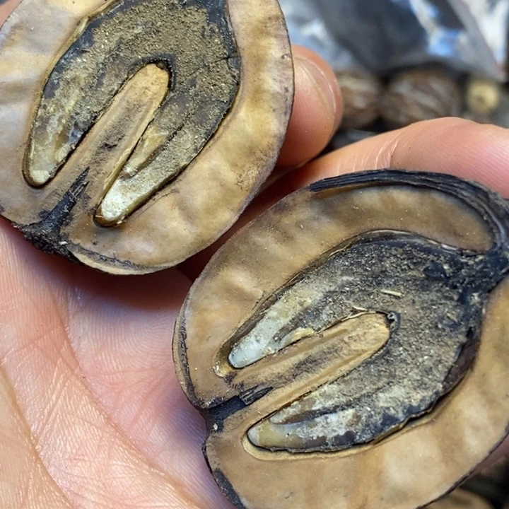 桃核吊坠娜姐真的4