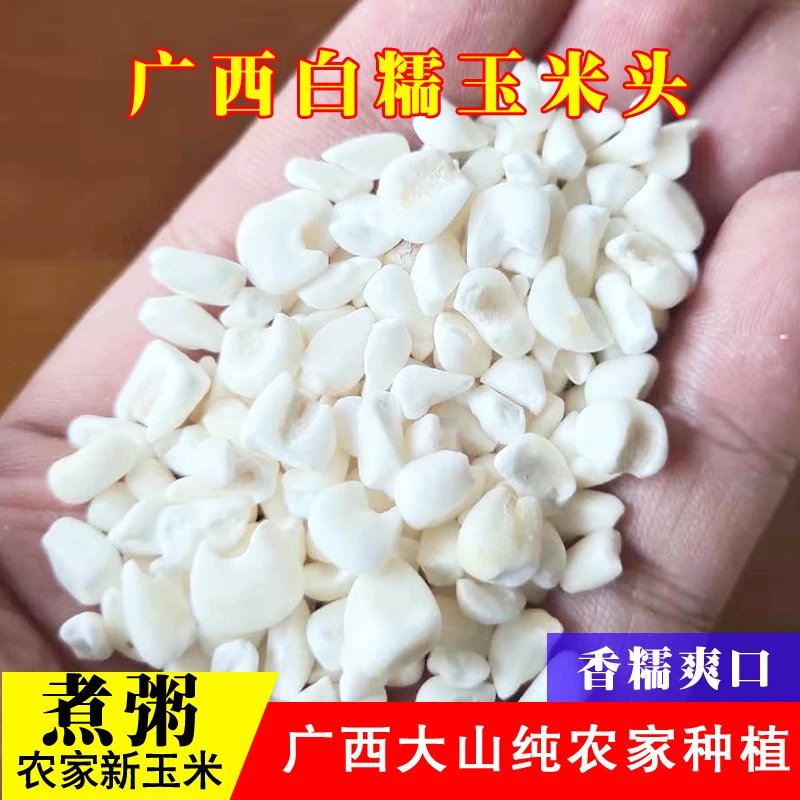 广西罗城糯玉米头河池白糯玉米头煮粥头正宗罗城天河玉米头