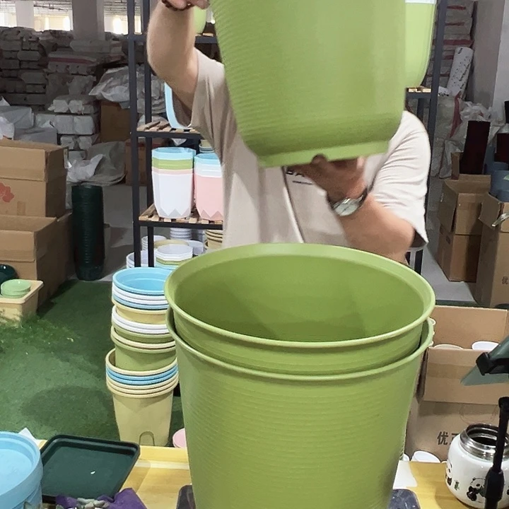 高陶口30高30果绿无托3个