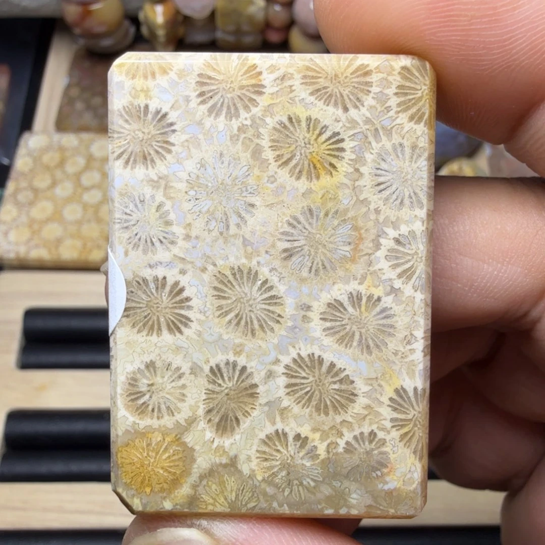 硅化玉未镶嵌纯天然色有机玉石保真色