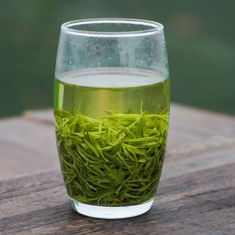 2025年信阳毛尖明前芽叶