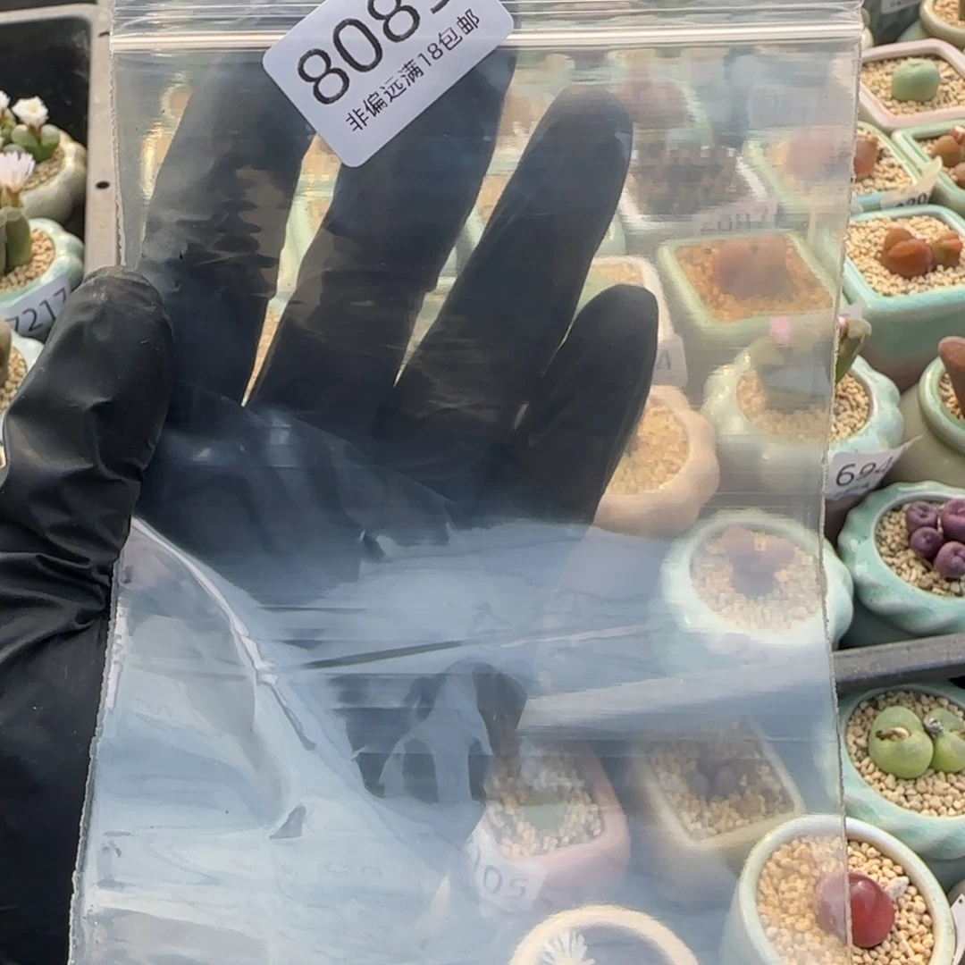 不***晚8085-铺面土一包hhh