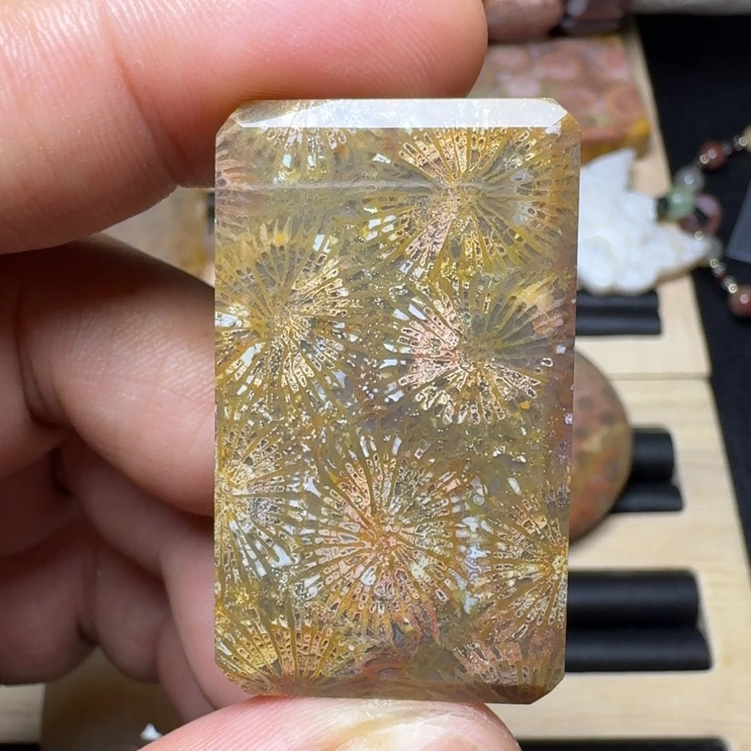 未镶嵌纯天然色有机玉石保真色硅化玉