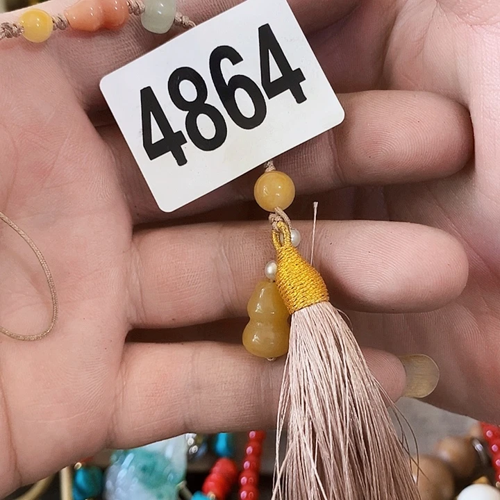 清***竹光明的未来是一个4864