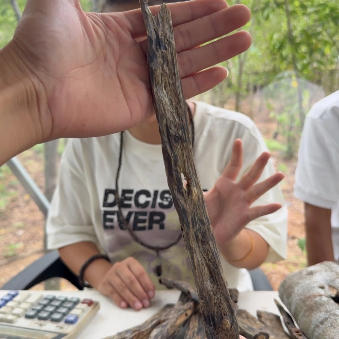 沉香碎屑沉香26克原材料多样性发一