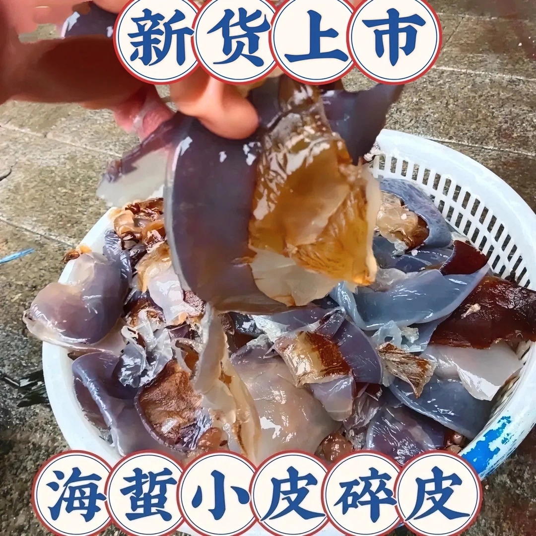海岐渤海海蜇皮干皮提干海蜇皮不好看当碎皮卖