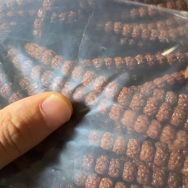 金刚菩提吊坠盘龙108