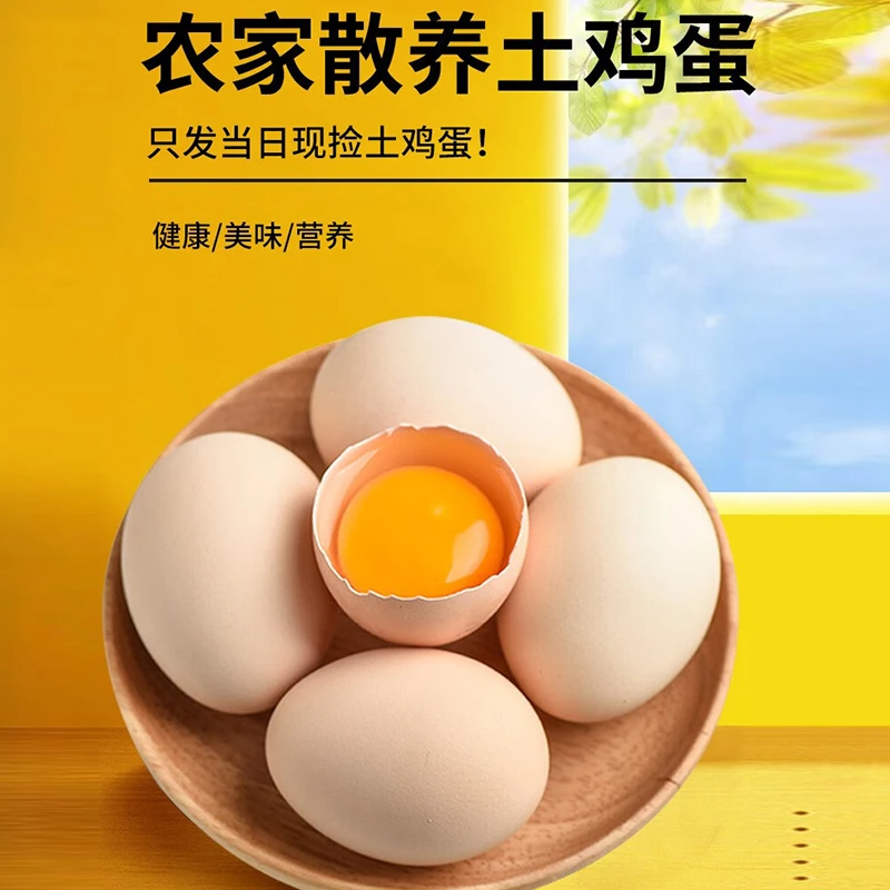 【50枚】新鲜土鸡蛋农家散养土鸡蛋新鲜现捡现发谷物喂养