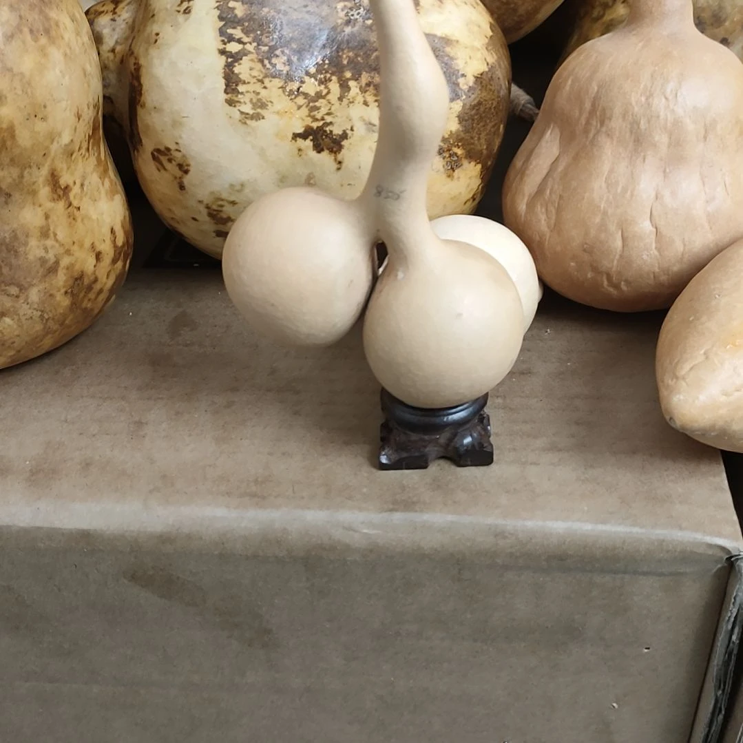 于***伟双胞胎葫芦喜欢拍