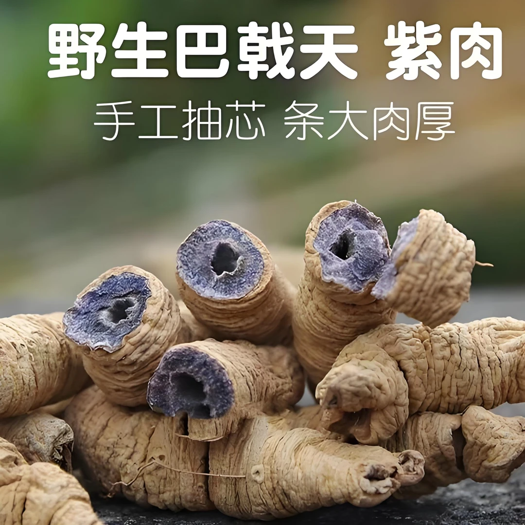 非种植巴戟干新货实用干货