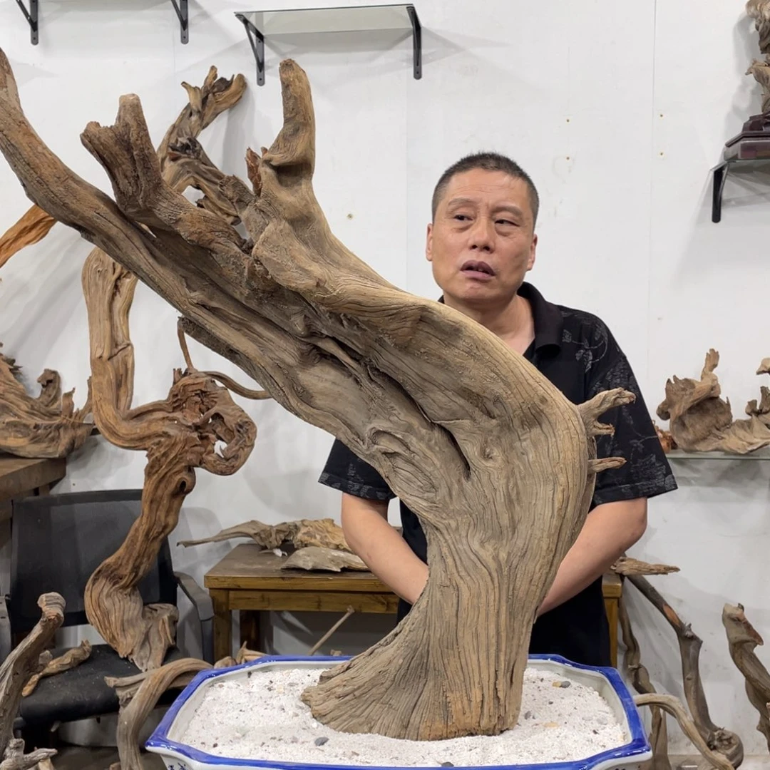 烟***军我们都是好孩子啊