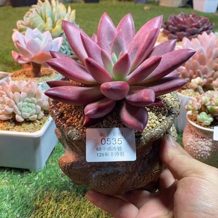 0535啊啊啊啊啊啊啊啊