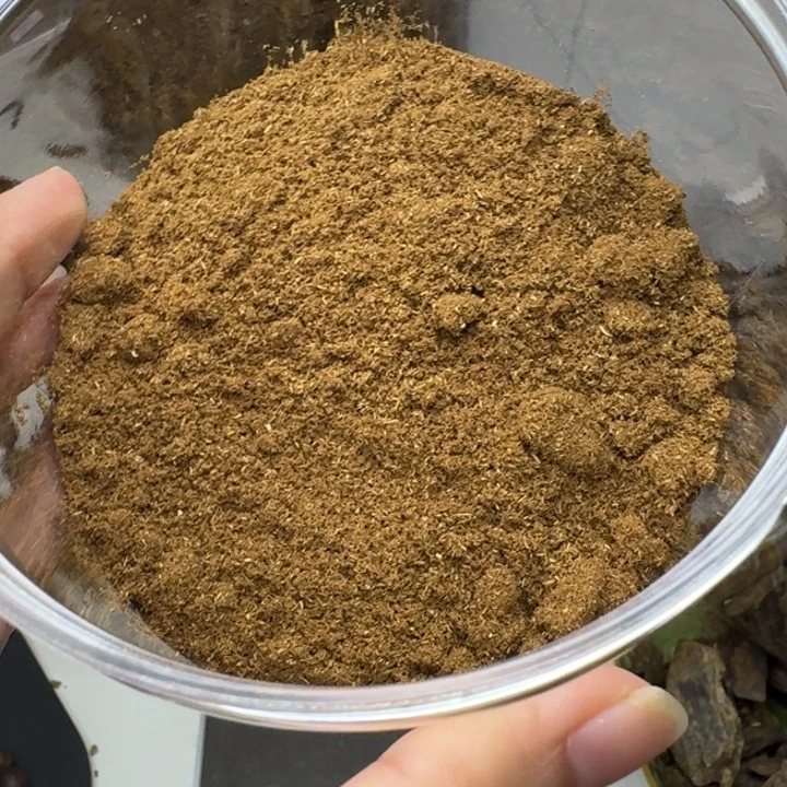 用***6扇子奇楠沉香金沙叶粉料子