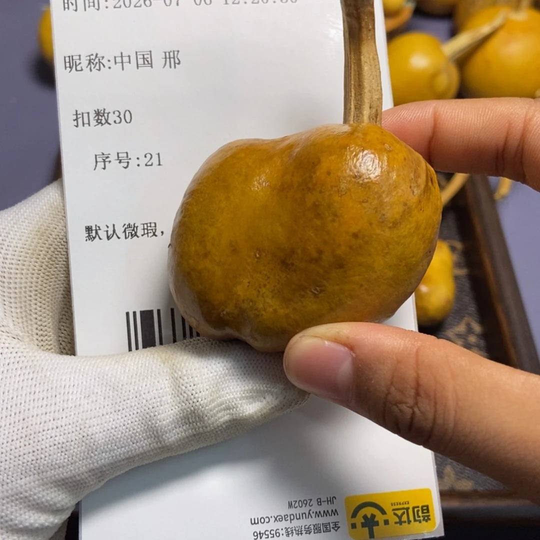 中**邢风裂哈哈哈哈哈哈哈哈