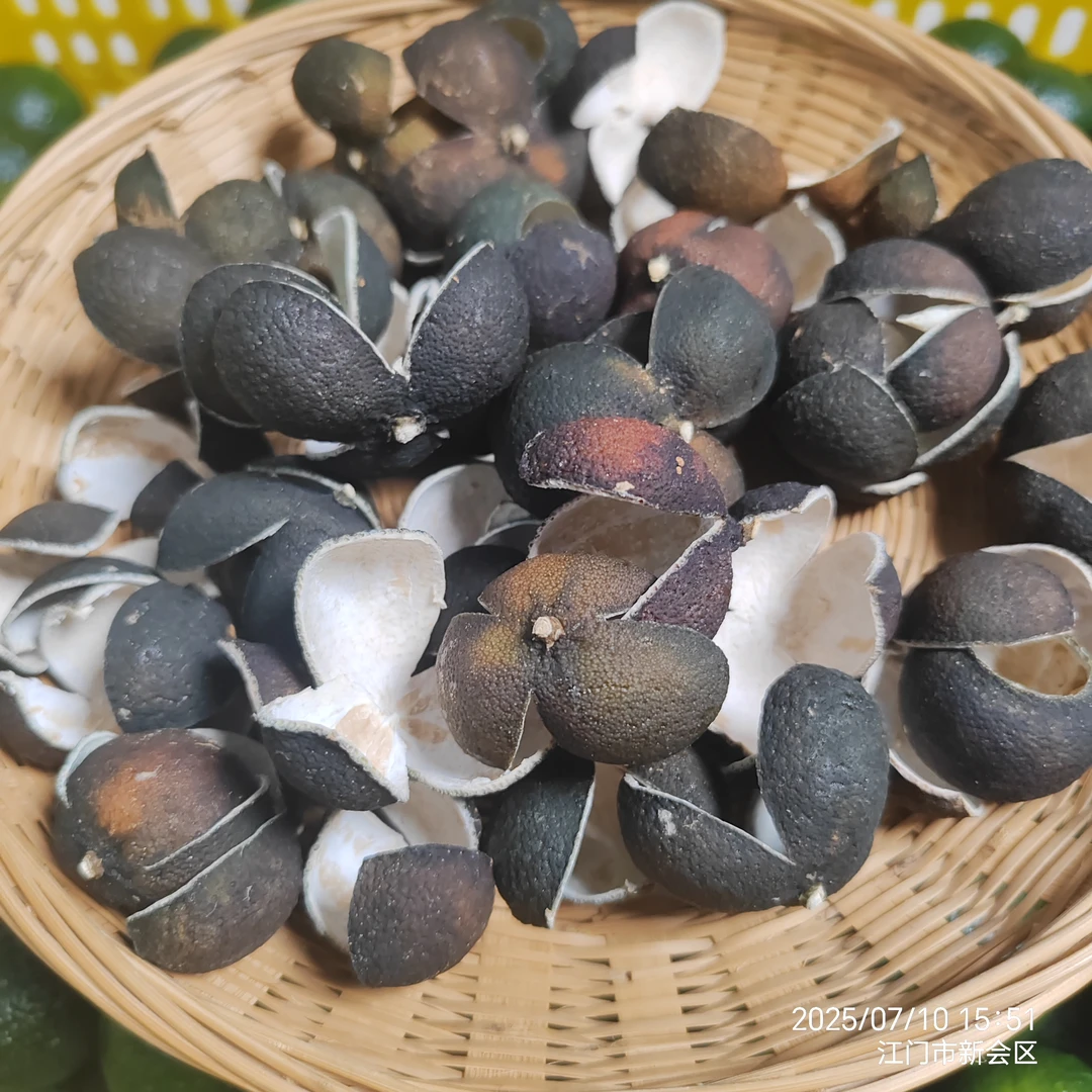 2025年7月头采小青柑剪枝三花青皮小青柑柑壳