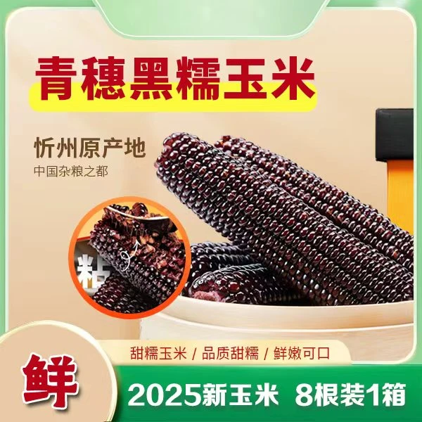 忻州头茬香甜黑糯玉米好吃实惠8根装（带箱5斤）