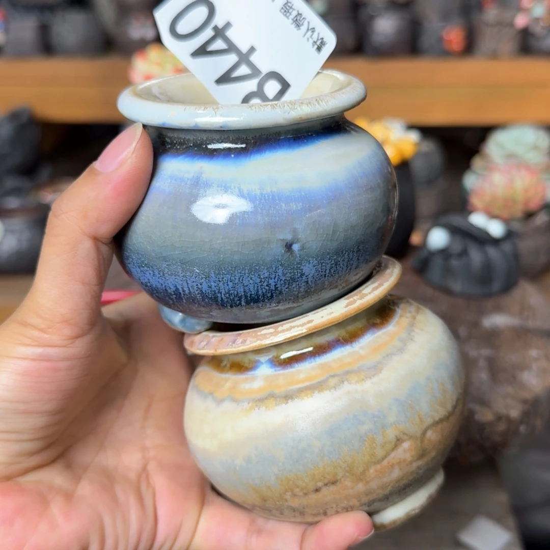 重庆小燕子欢迎大家440