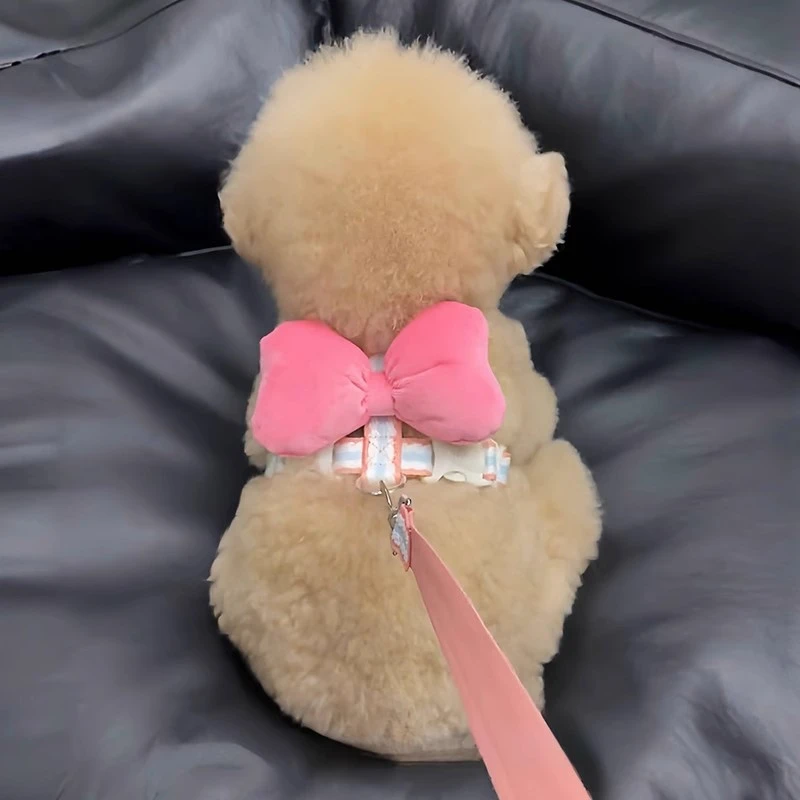 小狗狗牵引绳新款蝴蝶结胸背小型犬背心式比熊泰迪防挣脱遛狗绳子