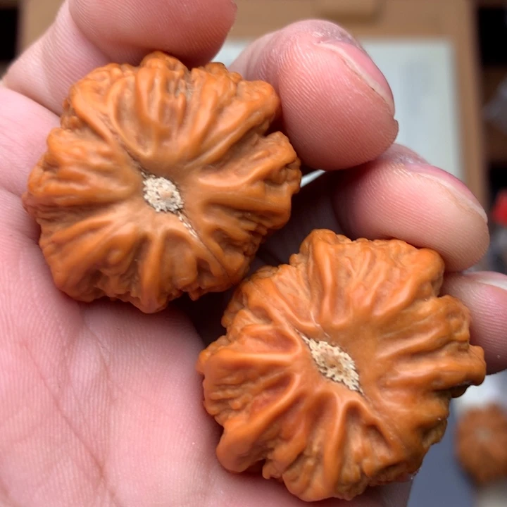 桃核把件秋子手捻核桃