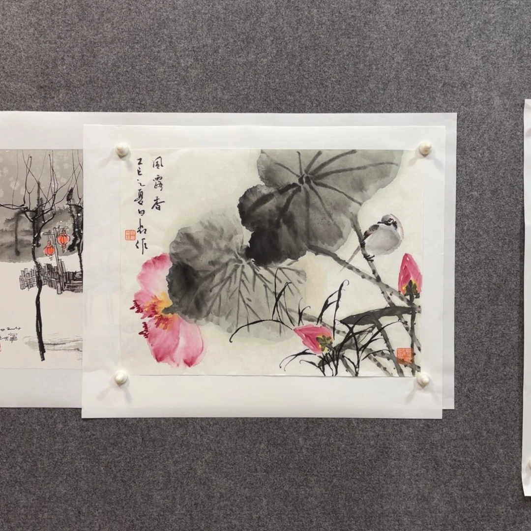 我***字国画白老师花鸟作品