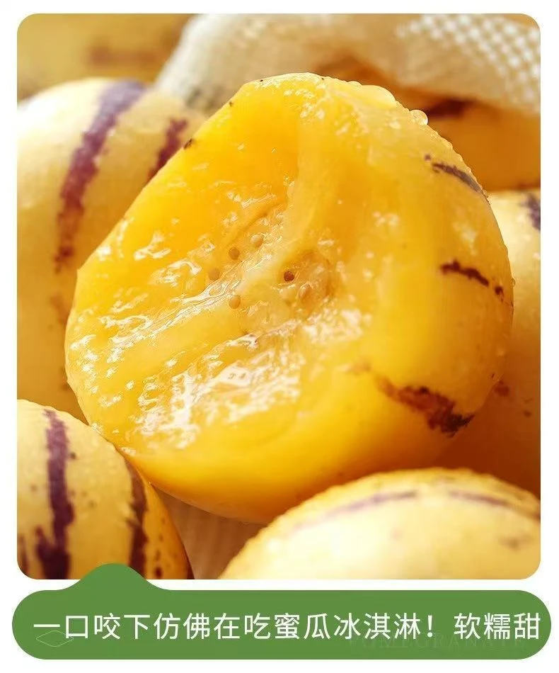 1正宗云南石林黄心人参果