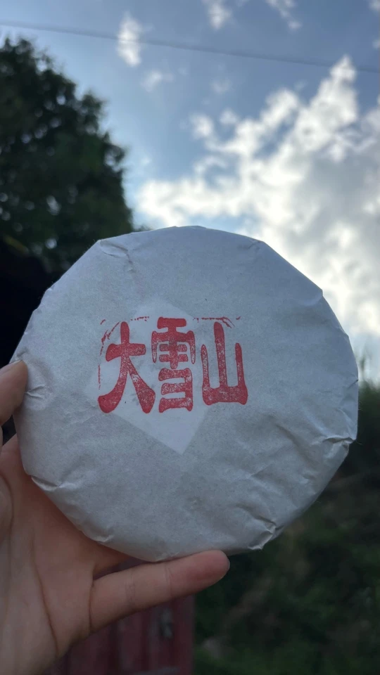 客户定制 永德大雪山 古树 普洱茶生茶200克