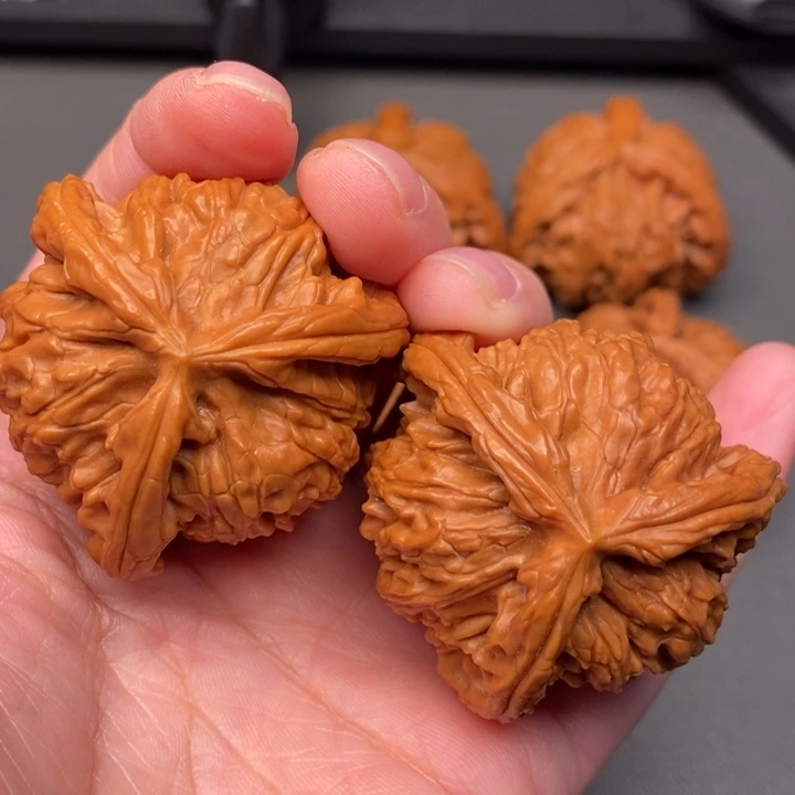 特***柔木质类核桃核桃核桃