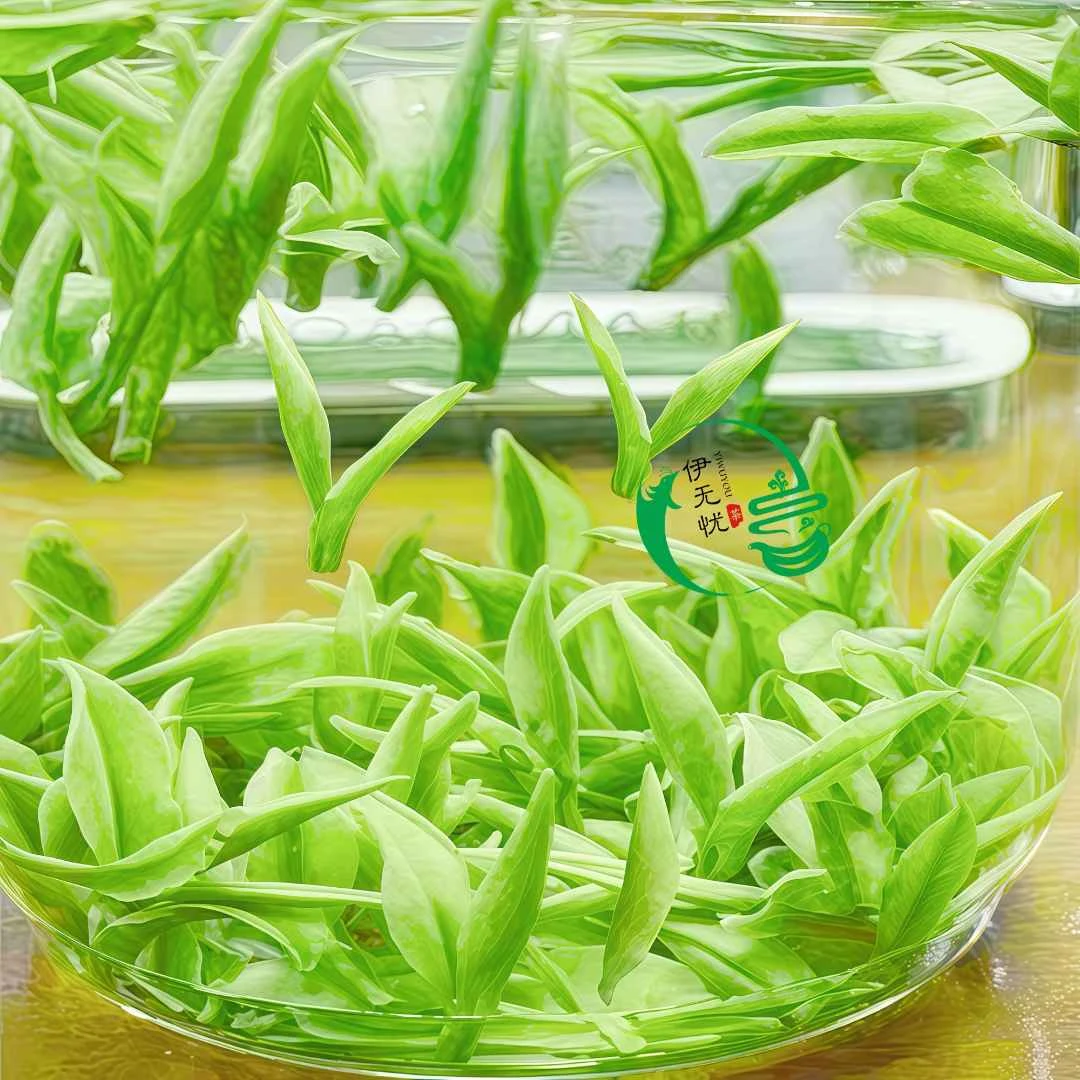 2025头采【高山白茶】小米芽枝条芽兰花香浓郁回味甘甜鲜爽（伊无忧）