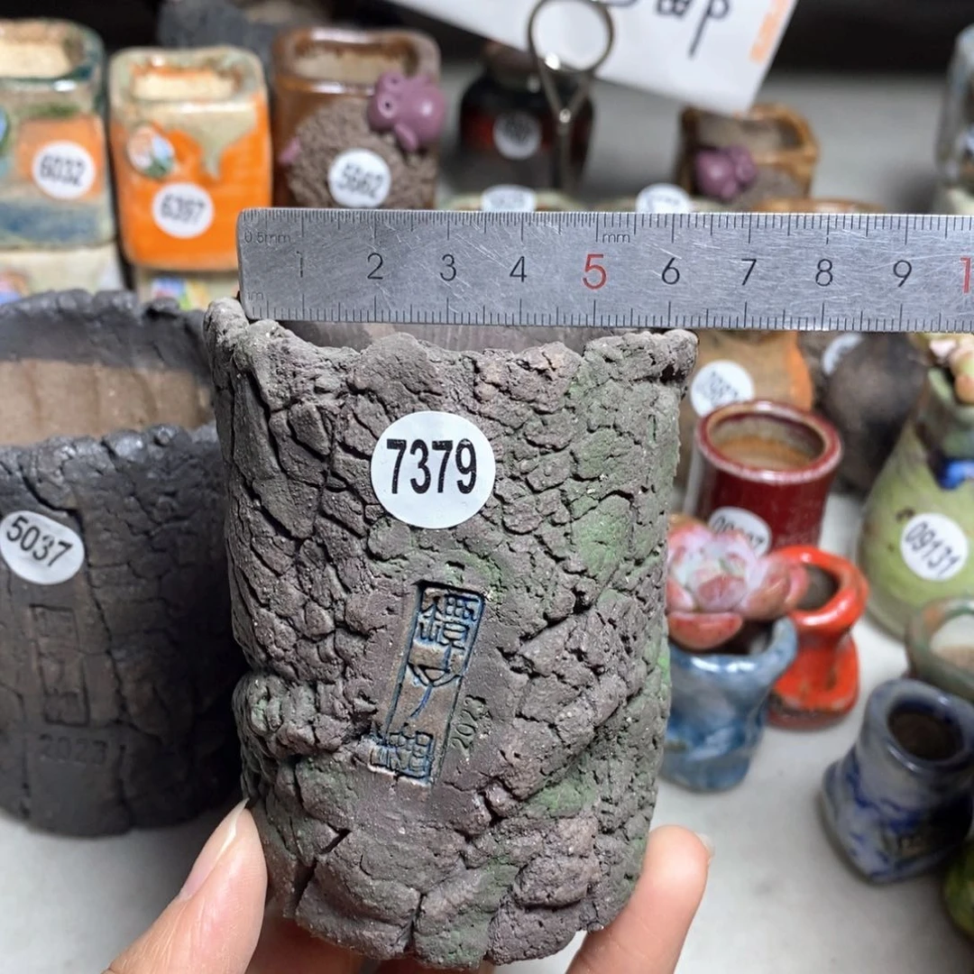 特价花盆拍3送一个小礼物