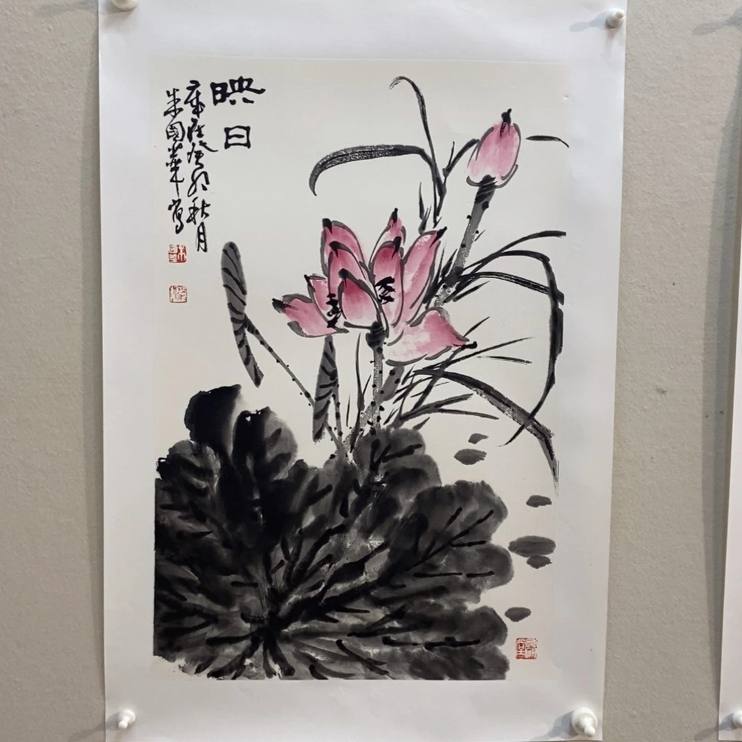 【闪购商品】国画用****3墨鱼精品墨鱼精品