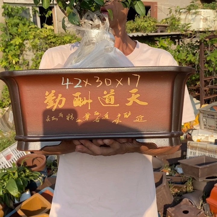 花盆紫砂紫砂艺术学院的