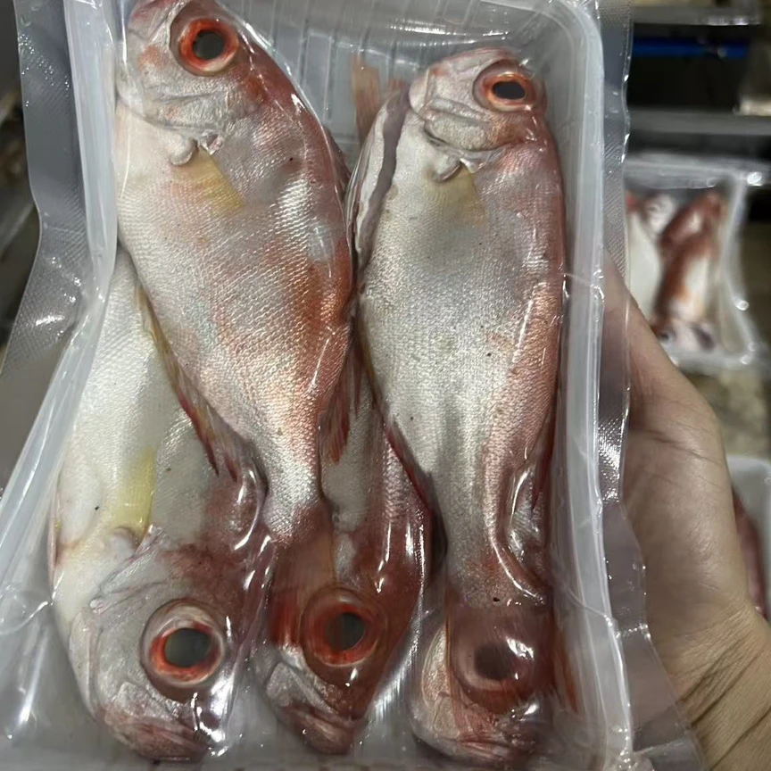 【集胜味海鲜】红目良（1斤4-5条）