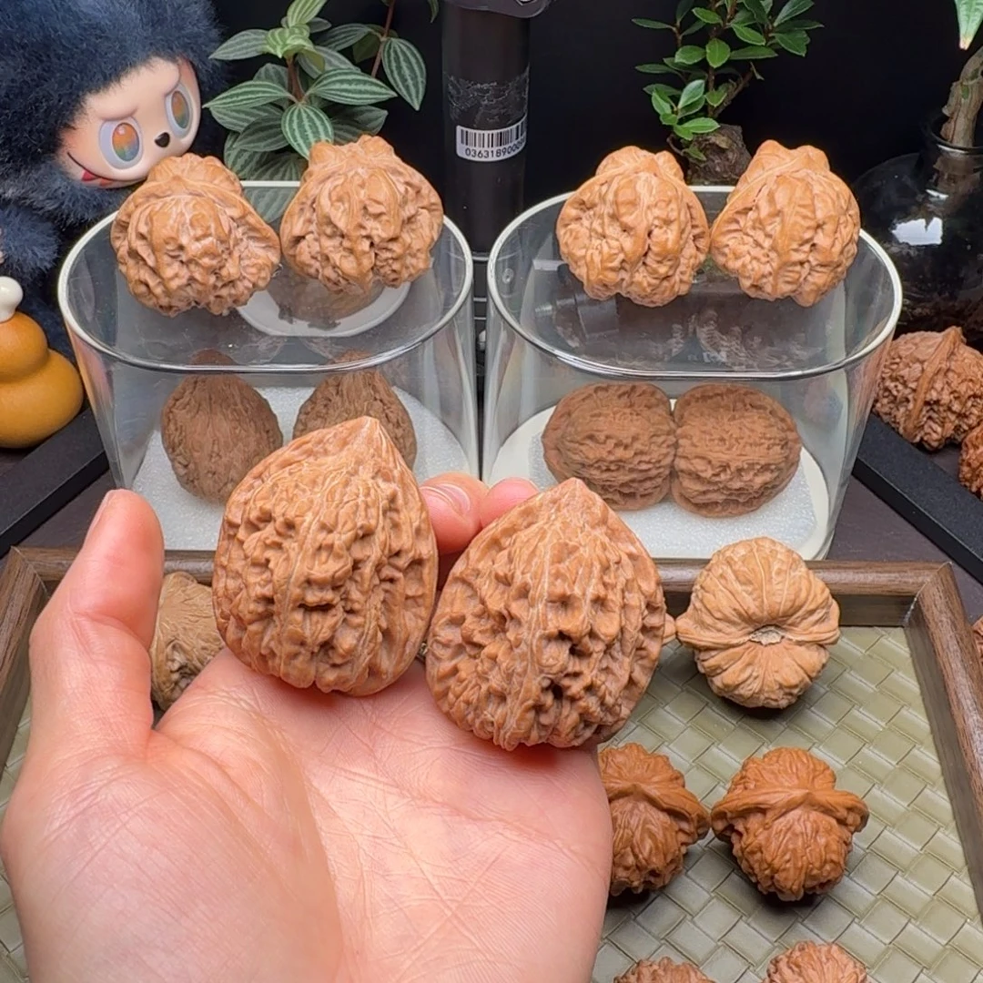 龙脊菩提把件全品赤龙鸡心38