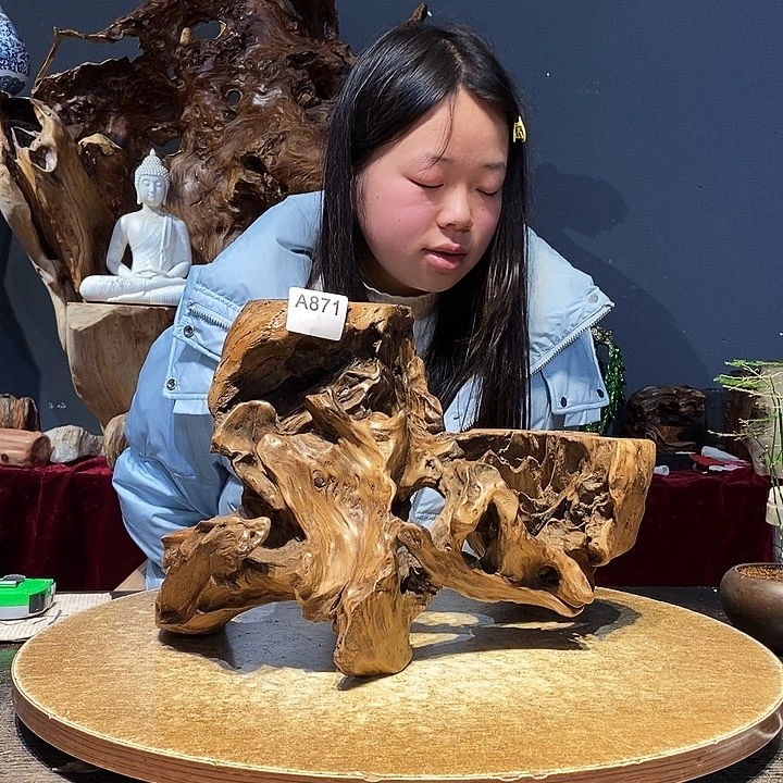 雅*871株木随行的小根艺