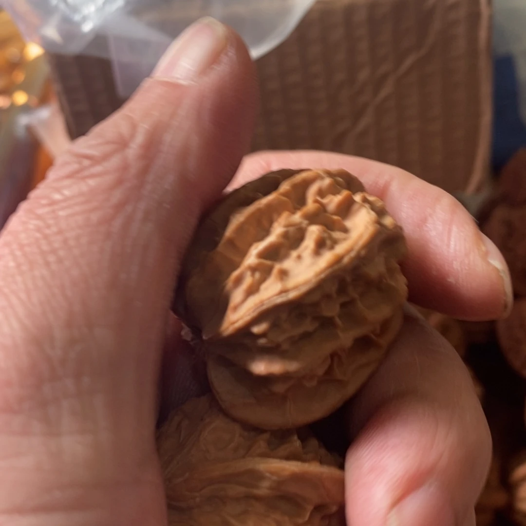 明**好秦岭南北缘是指长江