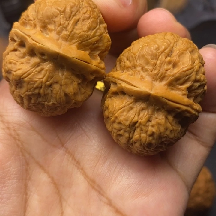 把件文玩核桃40尺金蟒元宝
