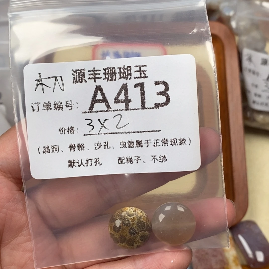 木***雷硅化玉未镶嵌颈饰