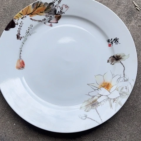 瓷其他10寸盘一个陶瓷