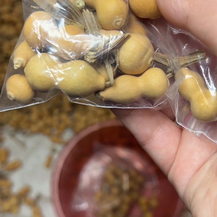 生打皮质量很好40
