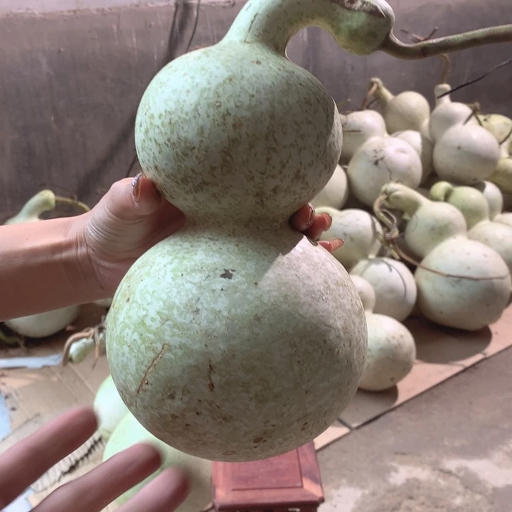 十****中号现货供应充足